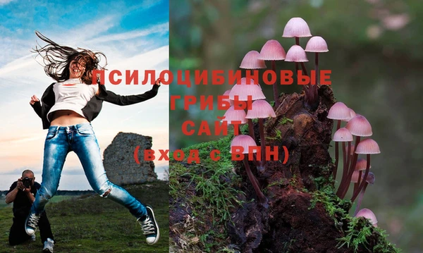 меф Заводоуковск