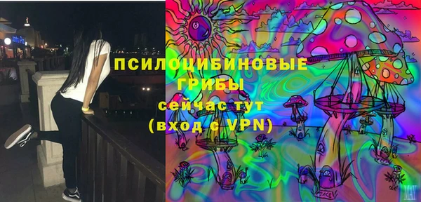 меф Заводоуковск